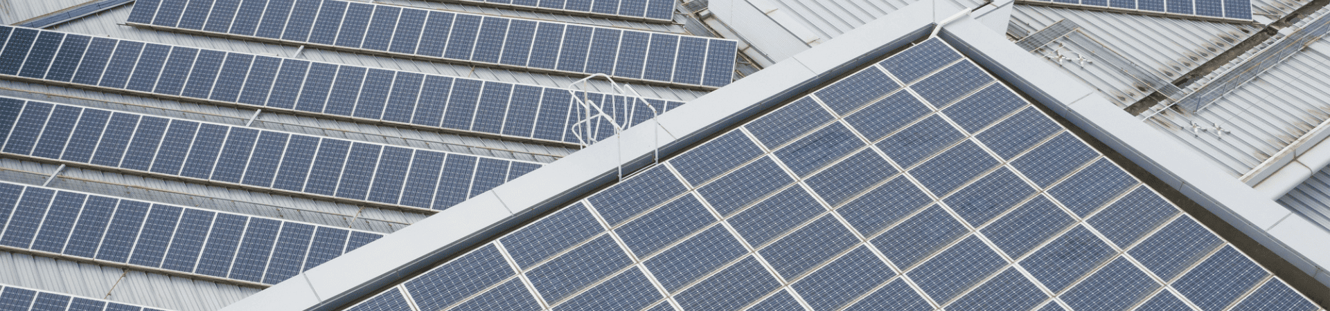 CarbOFF header  (10)